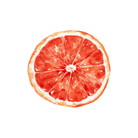 Grapefruit