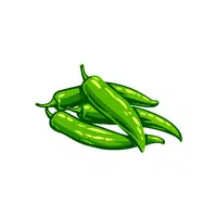 Green chili | Seasonal Vegetables Names