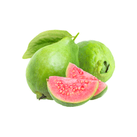 Guava