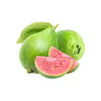 Guava