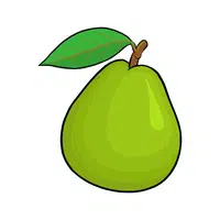 Guava