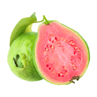 Guava