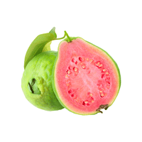Guava