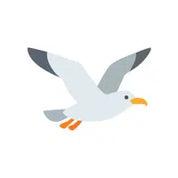 Gull