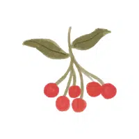 Hawthorn | Mountain Fruits Names