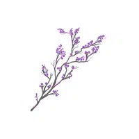 Heather