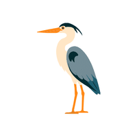 Heron