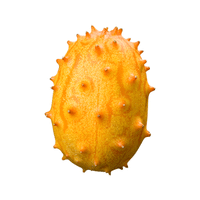 Hornmelon