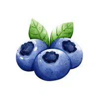 Huckleberry | Mountain Fruits Names