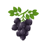 Huckleberry