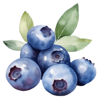 Huckleberry