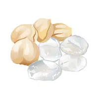 Iceapple