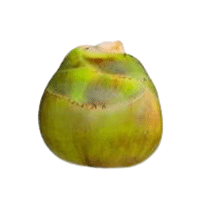 Iceapple