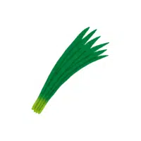 Indianarrow