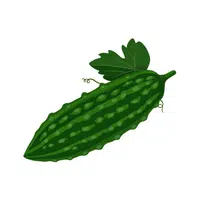 Ivygourd