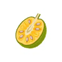 Jackfruit