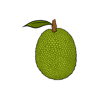 Jackfruit