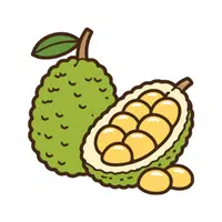 Jackfruit