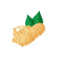 Jerusalem Artichoke