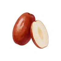Jujube | Mountain Fruits Names