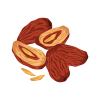 Jujube | Spring Fruits Names
