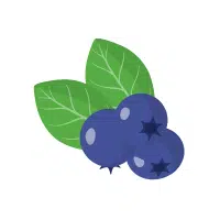 Juneberry | Mountain Fruits Names
