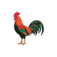 Junglef | Game Birds Names
