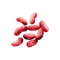Kidney bean | Seasonal Vegetables Names