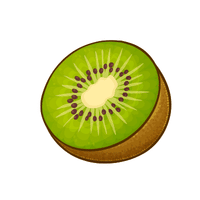 Kiwi | Coastal Fruits Names
