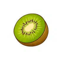 Kiwi | Fruit Plants Names