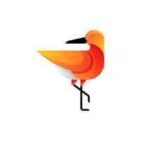 Knot | Arctic Birds Names