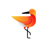 Knot | Migratory Birds Names