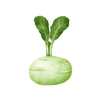 Kohlrabi | White Vegetables Names