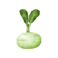 Kohlrabi | White Vegetables Names