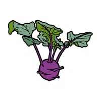 Kohlrabi | Seasonal Vegetables Names