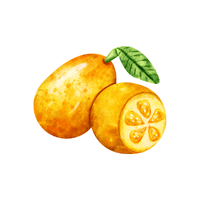 Kumquat | Autumn Fruits Names