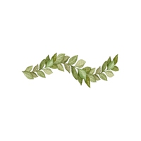 Laurel | Flowering Shrubs Names