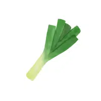 Leek