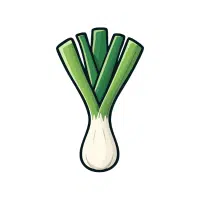 Leek | White Vegetables Names