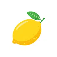 Lemon | Tree Fruits Names