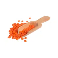 Lentil | Seasonal Vegetables Names