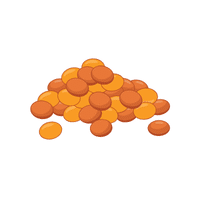 Lentil