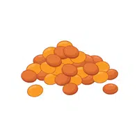 Lentil