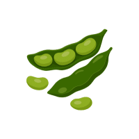 Lima | Pod Vegetables Names
