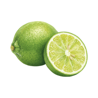 Lime | Autumn Fruits Names
