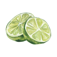 Lime | Spring Fruits Names