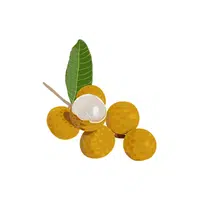 Longan | Fruit Plants Names