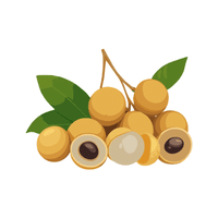 Longan | Island Fruits Names