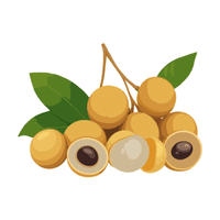 Longan | Coastal Fruits Names