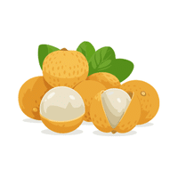 Longan | Spring Fruits Names